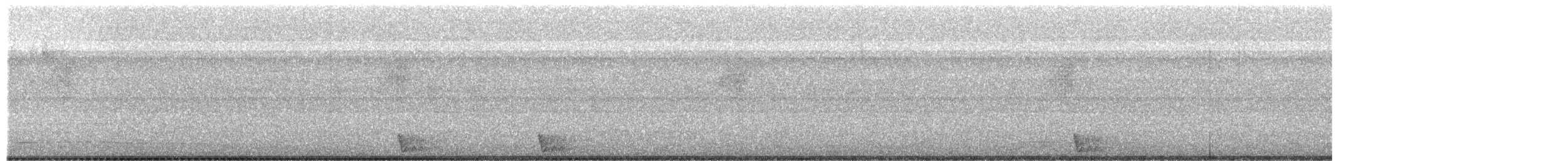 Large-tailed Nightjar - ML652385018