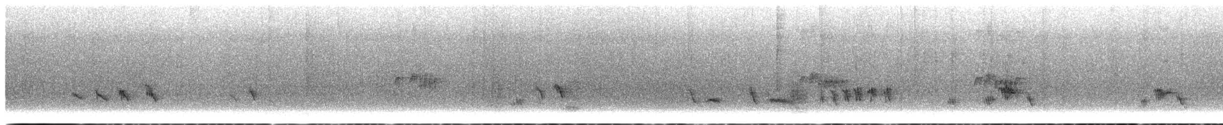 Пересмішник сивий - ML652385040