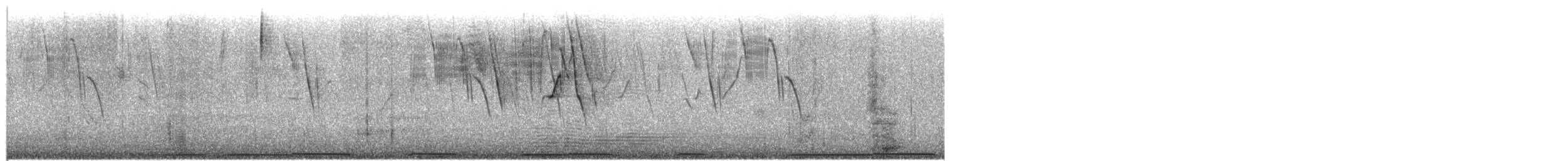 Зенаїда еквадорська - ML652385282