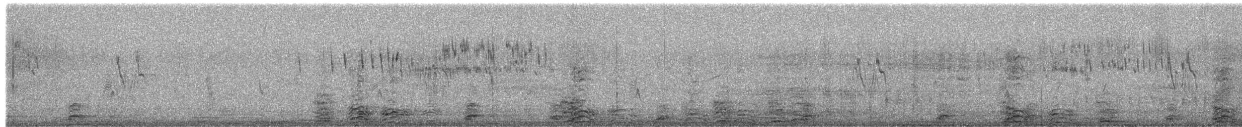 Плиска біла - ML652385309