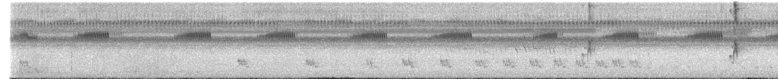 Zarzalero Charlatán - ML652386975