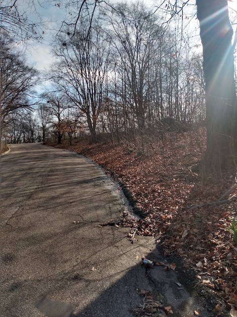 Burnet Woods, Hamilton, Ohio, United States - eBird Hotspot