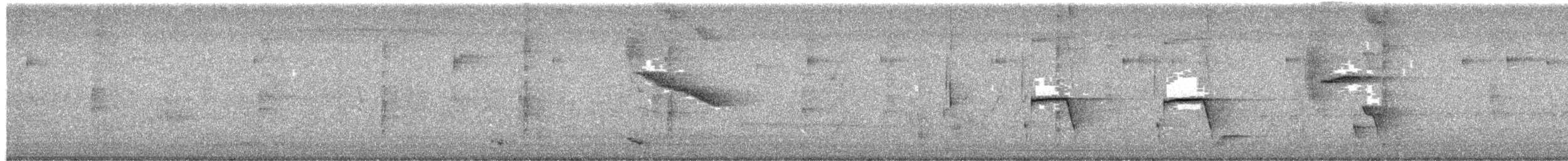 Scrub Blackbird - ML652393160