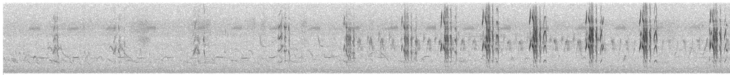 Pied Kingfisher - ML652393199