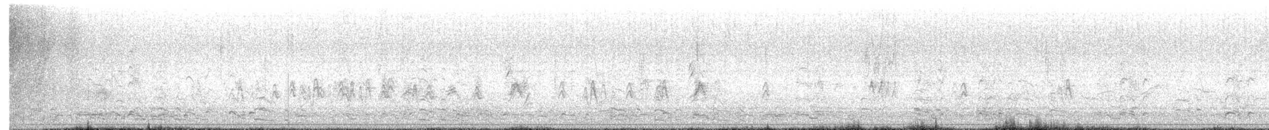 Greater White-fronted Goose - ML652403818