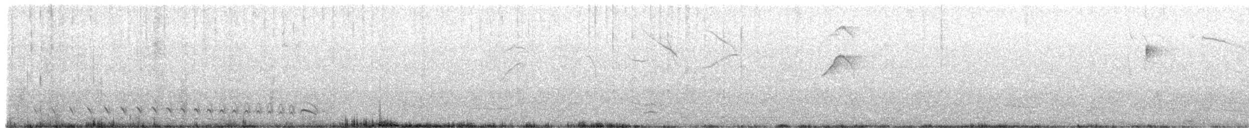 Batará Barrado - ML652413814