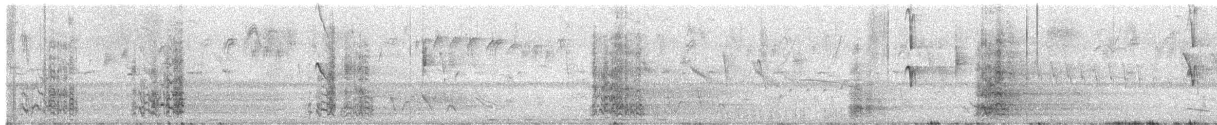 Guacamayo Azuliamarillo - ML652413897