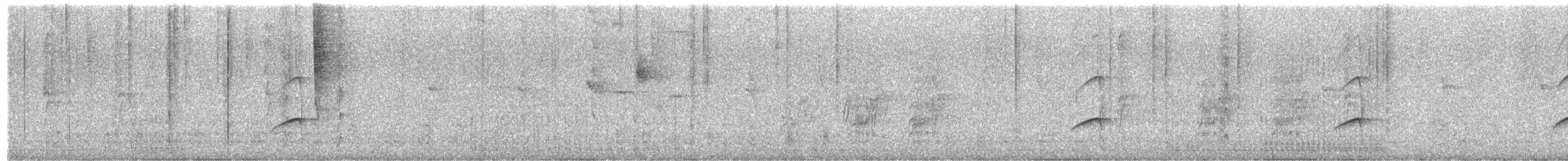 Loro Cabeciazul - ML652413916