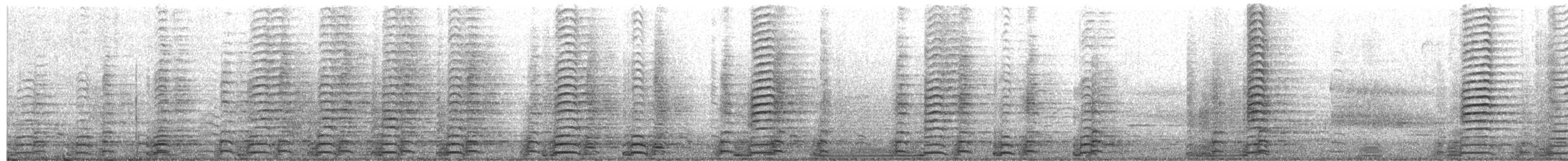 Bernache du Canada - ML652414989