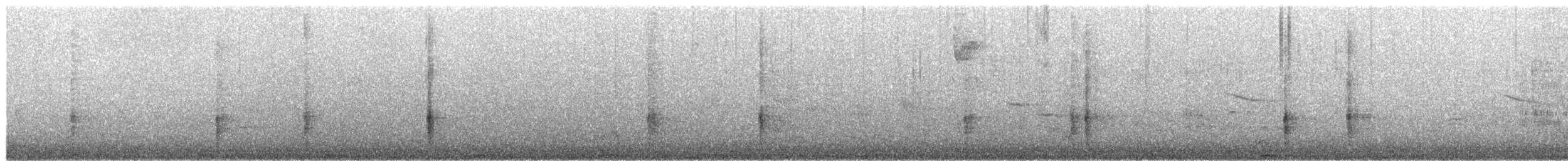 Quiscale bronzé - ML652415358