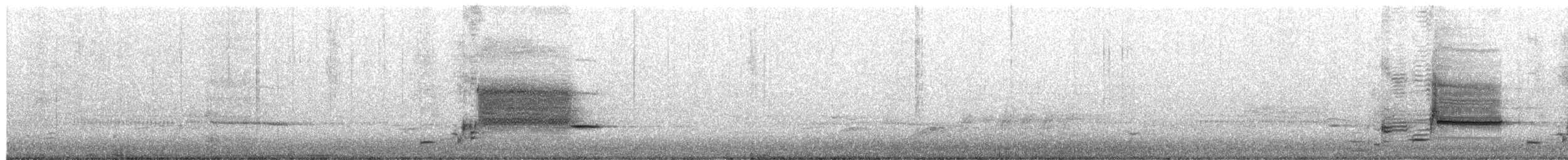 Carouge à épaulettes - ML652415363