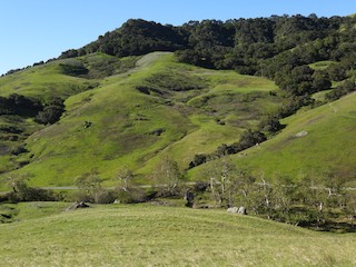 Johnson Ranch Open Space, San Luis Obispo, California, United States ...