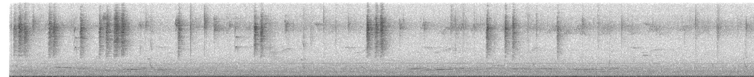 Brown Thornbill - ML652418204