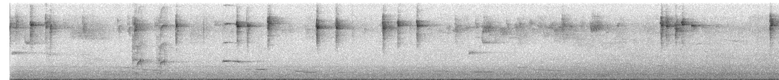 Striated Thornbill - ML652418869