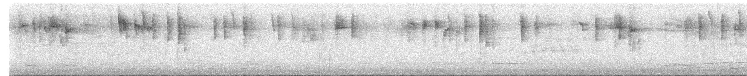 Superb Fairywren - ML652419122