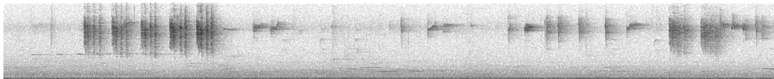 Brown Thornbill - ML652419267