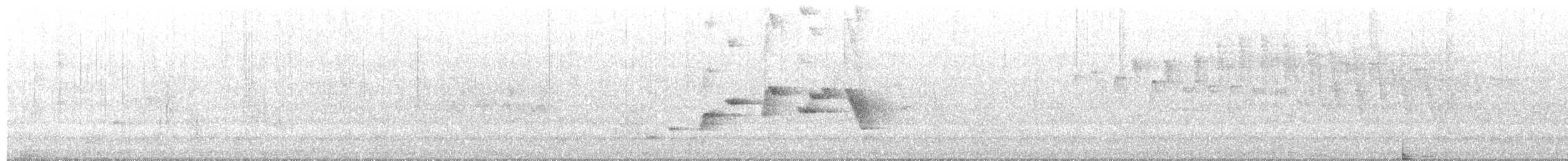 Willie-wagtail - ML652419338