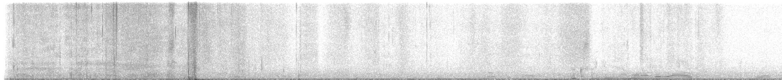 Barred Owl - ML652420217