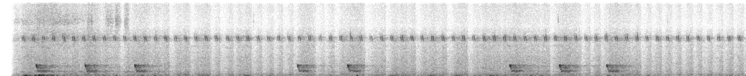 Large-tailed Nightjar - ML652421367