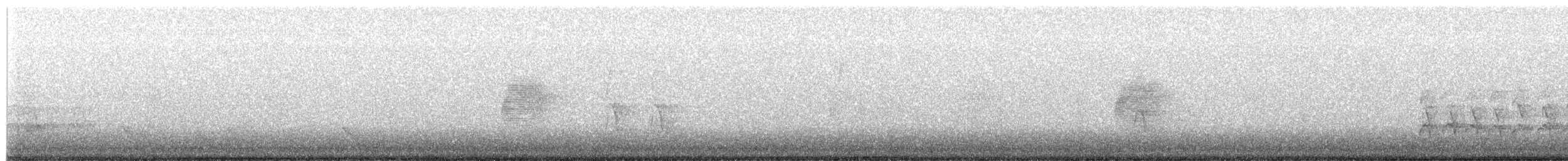 American Woodcock - ML652422032