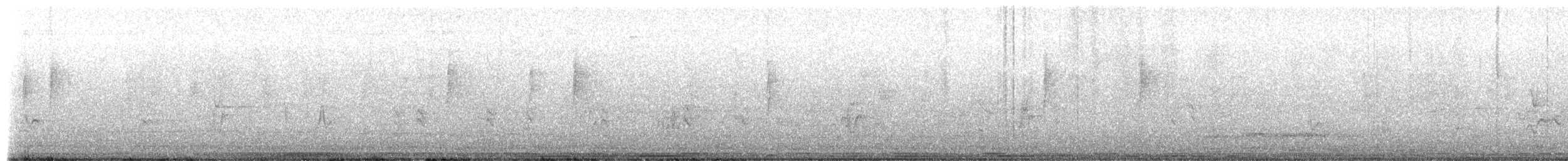 strakapoud proužkohřbetý - ML652422233