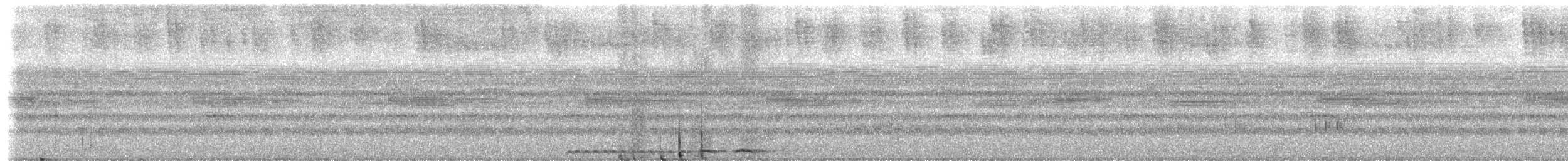 Tropical Screech-Owl - ML652422255