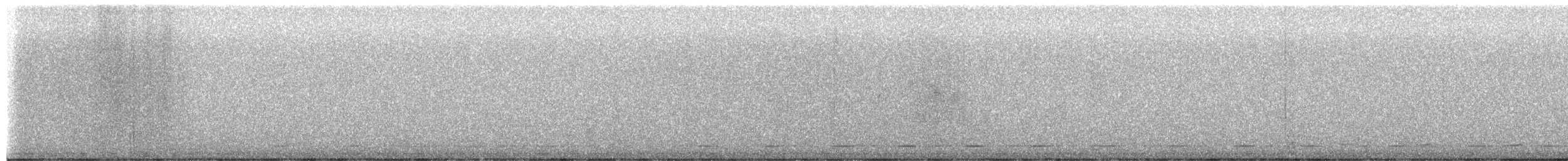 Northern Saw-whet Owl - ML652424989