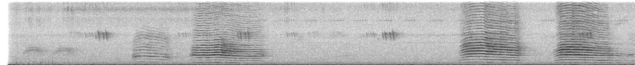 Cálao Trompetero - ML652443517