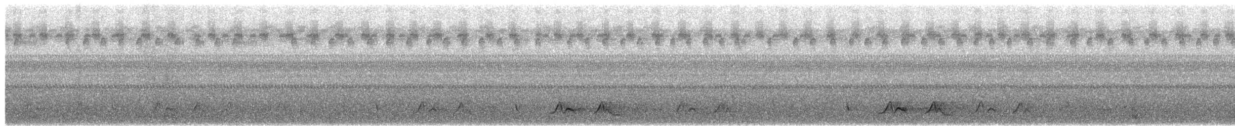 Chuck-will's-widow - ML652443739