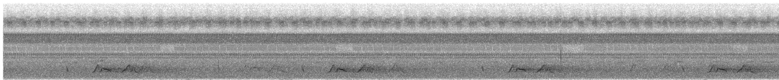 Chuck-will's-widow - ML652443746