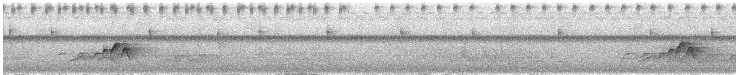 Hooded Warbler - ML652443828