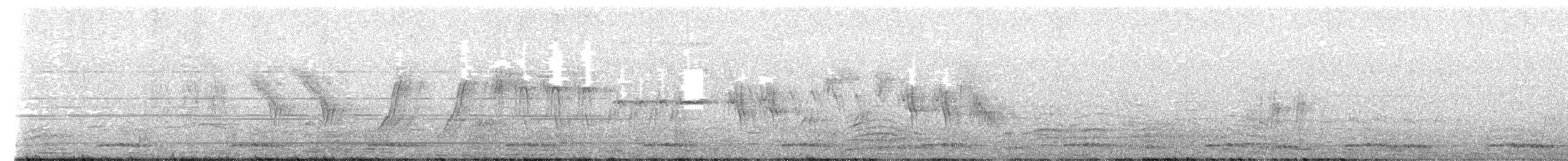 White-browed Wagtail - ML652444561