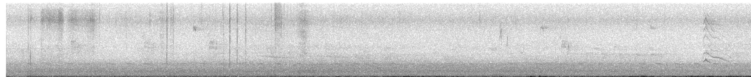 kanadasevjespett - ML652446916