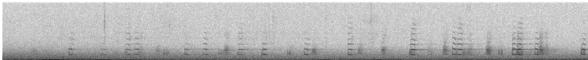 snøgås/eskimogås - ML652446997