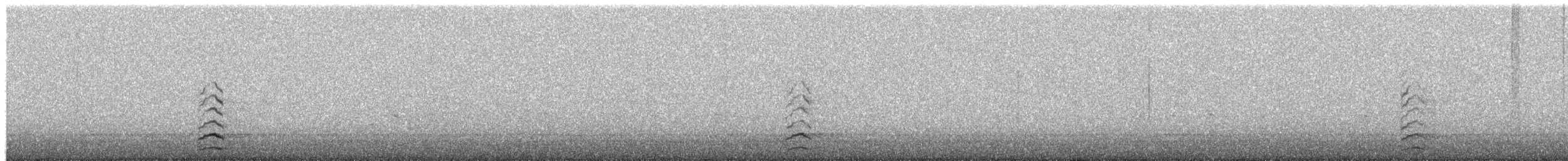 snøgås - ML652447010