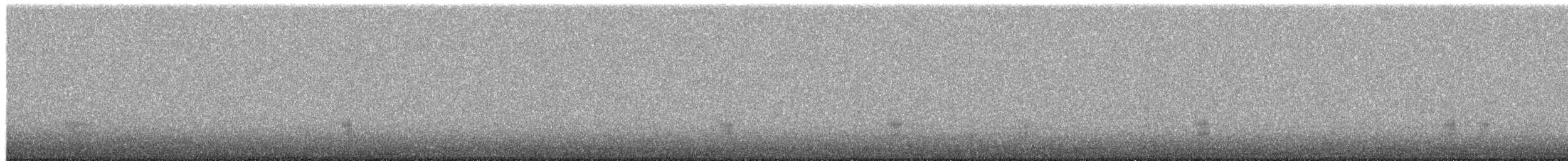 snadderand - ML652447101