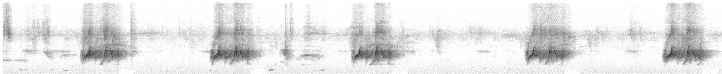 stripetyrann - ML652447131