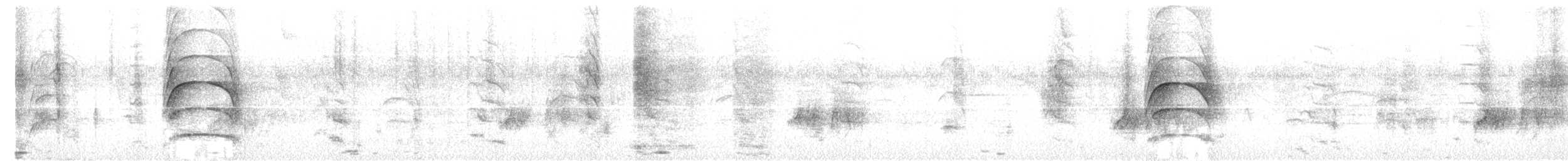 storkiskadi - ML652447284