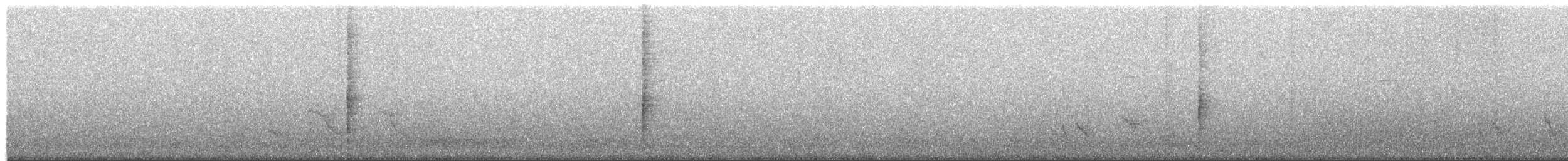 sørgetrupial - ML652447367