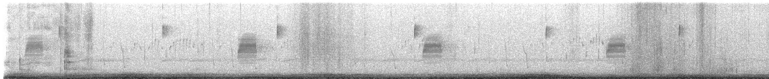 amerikarugde - ML652447480