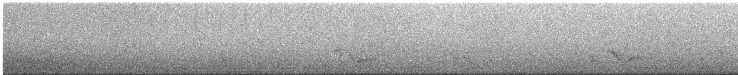 tropespottefugl - ML652447607