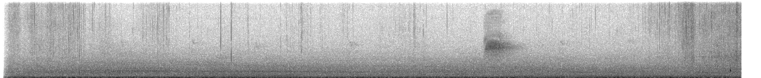 amerikarugde - ML652447969