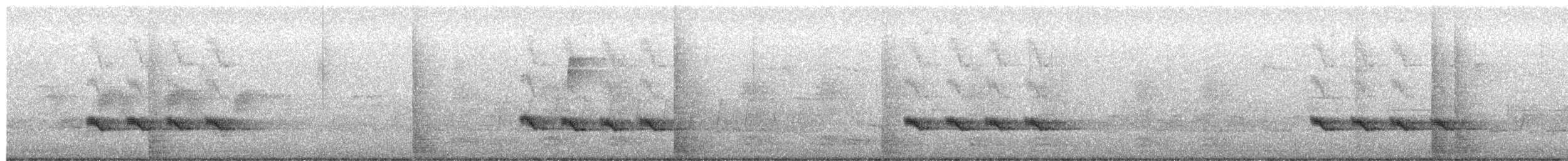 エボシガラ - ML652448822