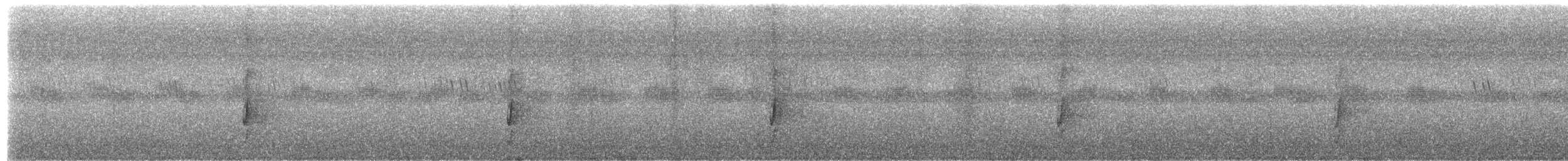 Azor Tachiro - ML652449493