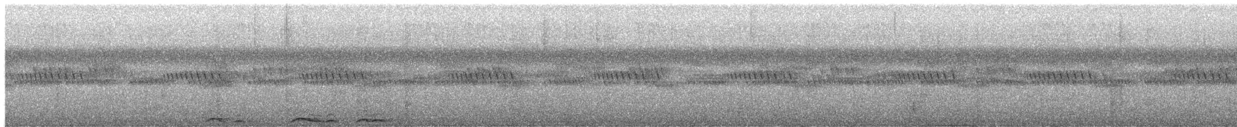 Cárabo Africano - ML652450934