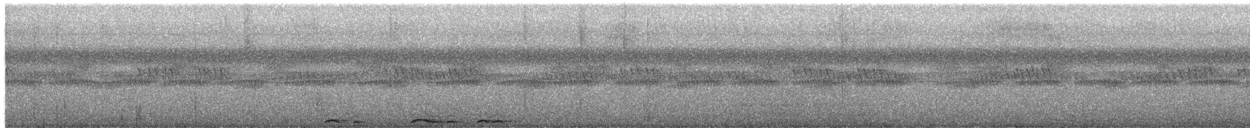 Cárabo Africano - ML652450935