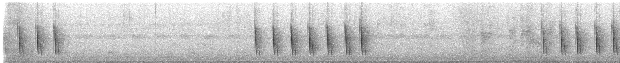 Camaróptera Baladora (grupo brevicauda) - ML652450940