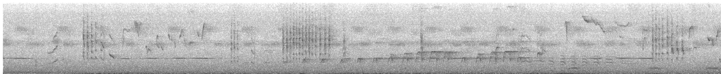 Amaranta Senegalesa - ML652451758