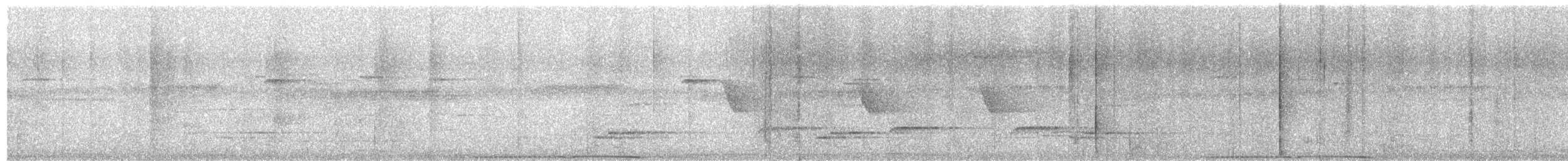 Андаманский вяхирь - ML652452215