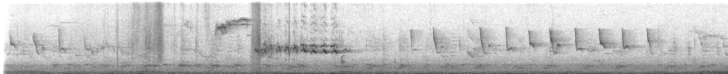 Соловьиная широкохвостка - ML652453214